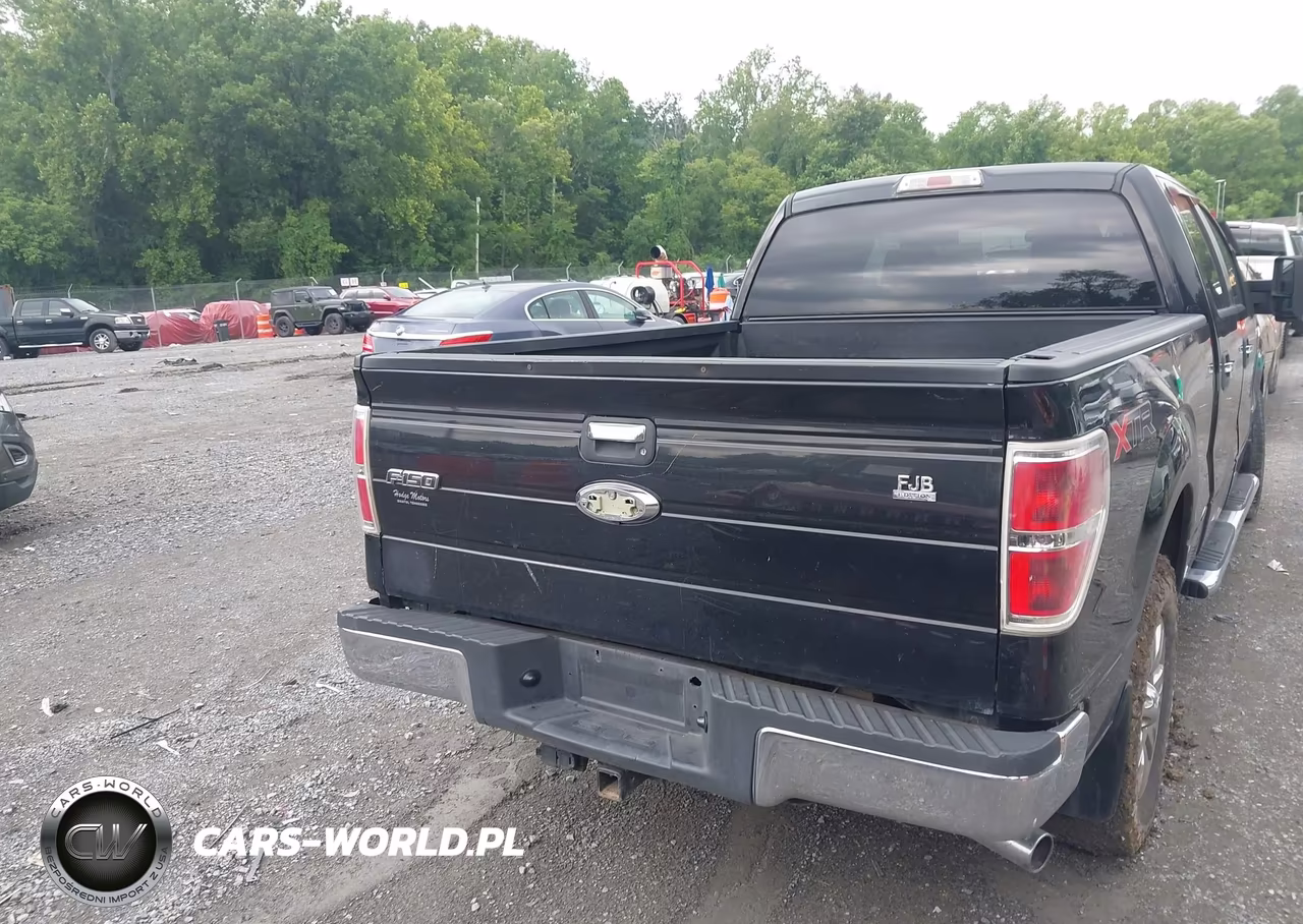 2011 Ford F-150 Xlt VIN:1FTFW1ET0BFA97248 - 16