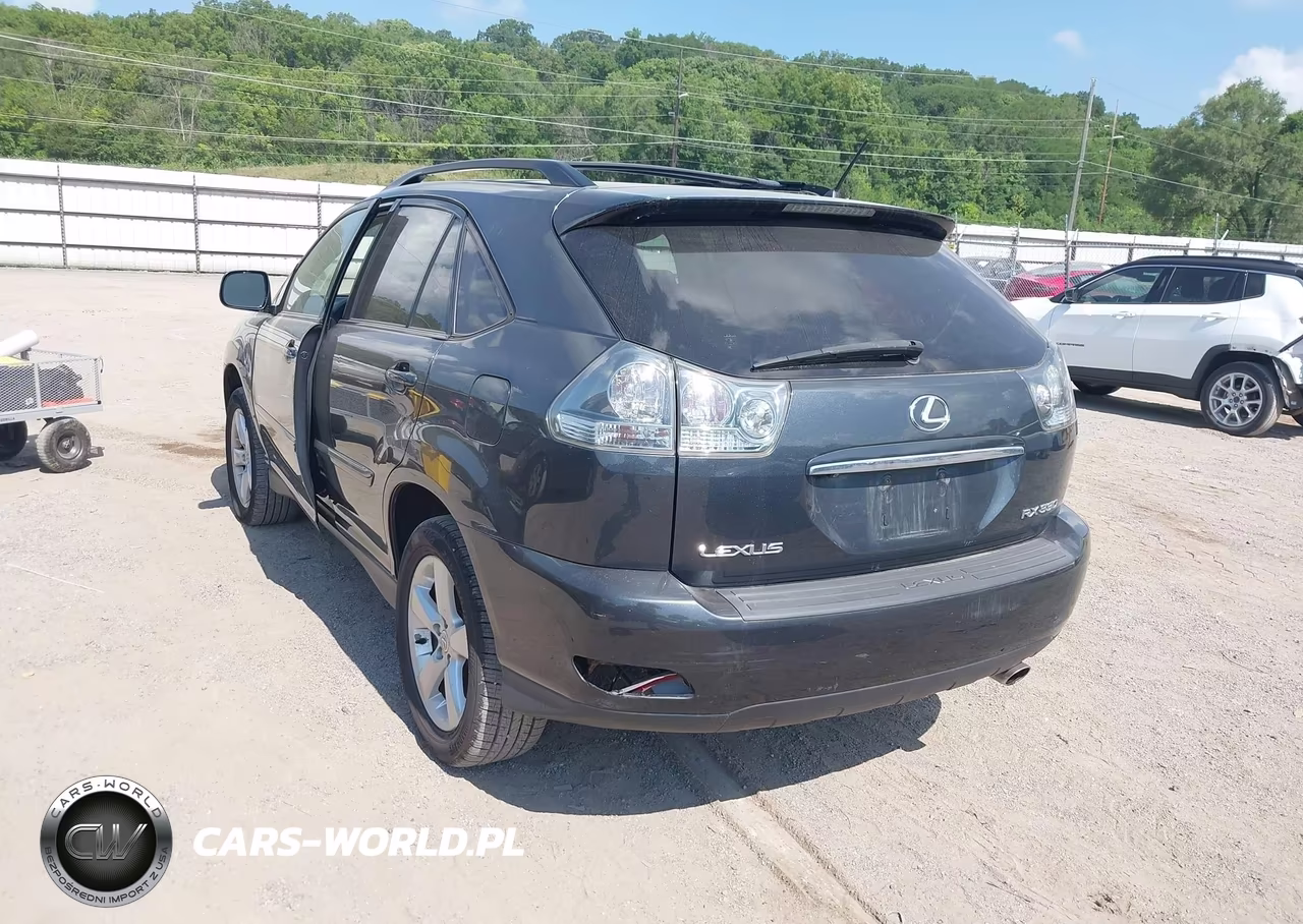 2004 Lexus Rx 330 VIN:JTJHA31U240052574 - 3