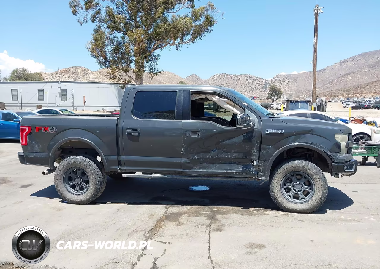 2016 Ford F-150 Xlt VIN:1FTEW1EG7GKD56864 - 13