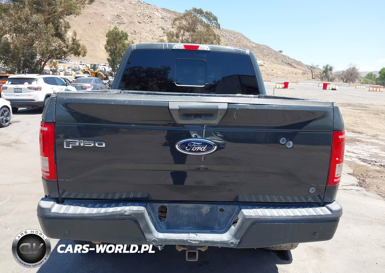 2016 Ford F-150 Xlt VIN:1FTEW1EG7GKD56864 - 16