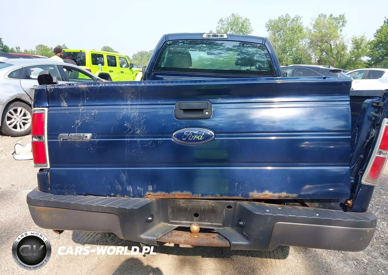 2009 Ford F-150 Xl-Xl W-Midbox Prep-Xlt-Xlt W-Midbox Prep VIN:1FTRF12879KA83720 - 16