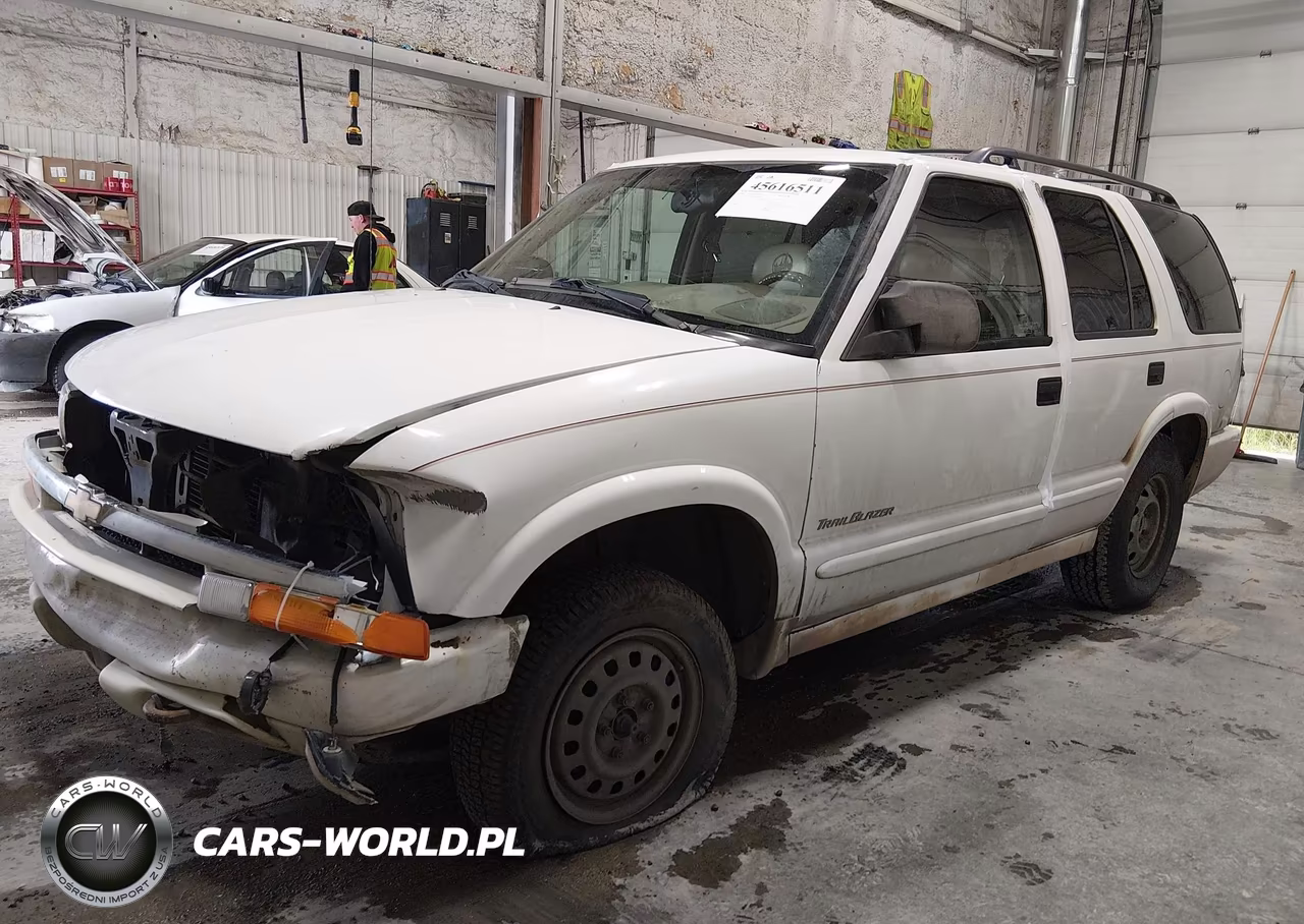1999 Chevrolet Blazer Trailblazer VIN:1GNDT13W2X2233060 - 2