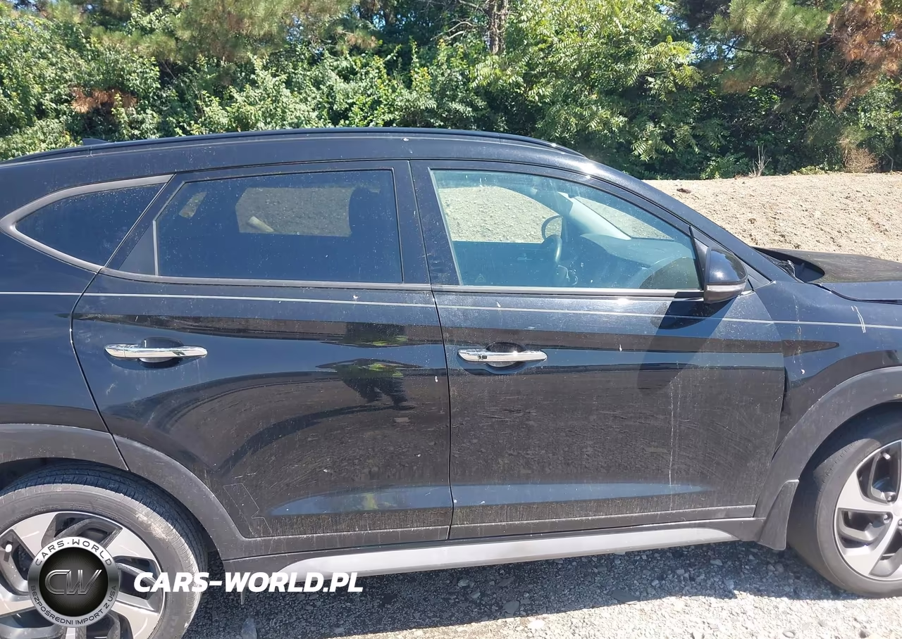 2018 Hyundai Tucson Limited VIN:KM8J3CA26JU820215 - 14