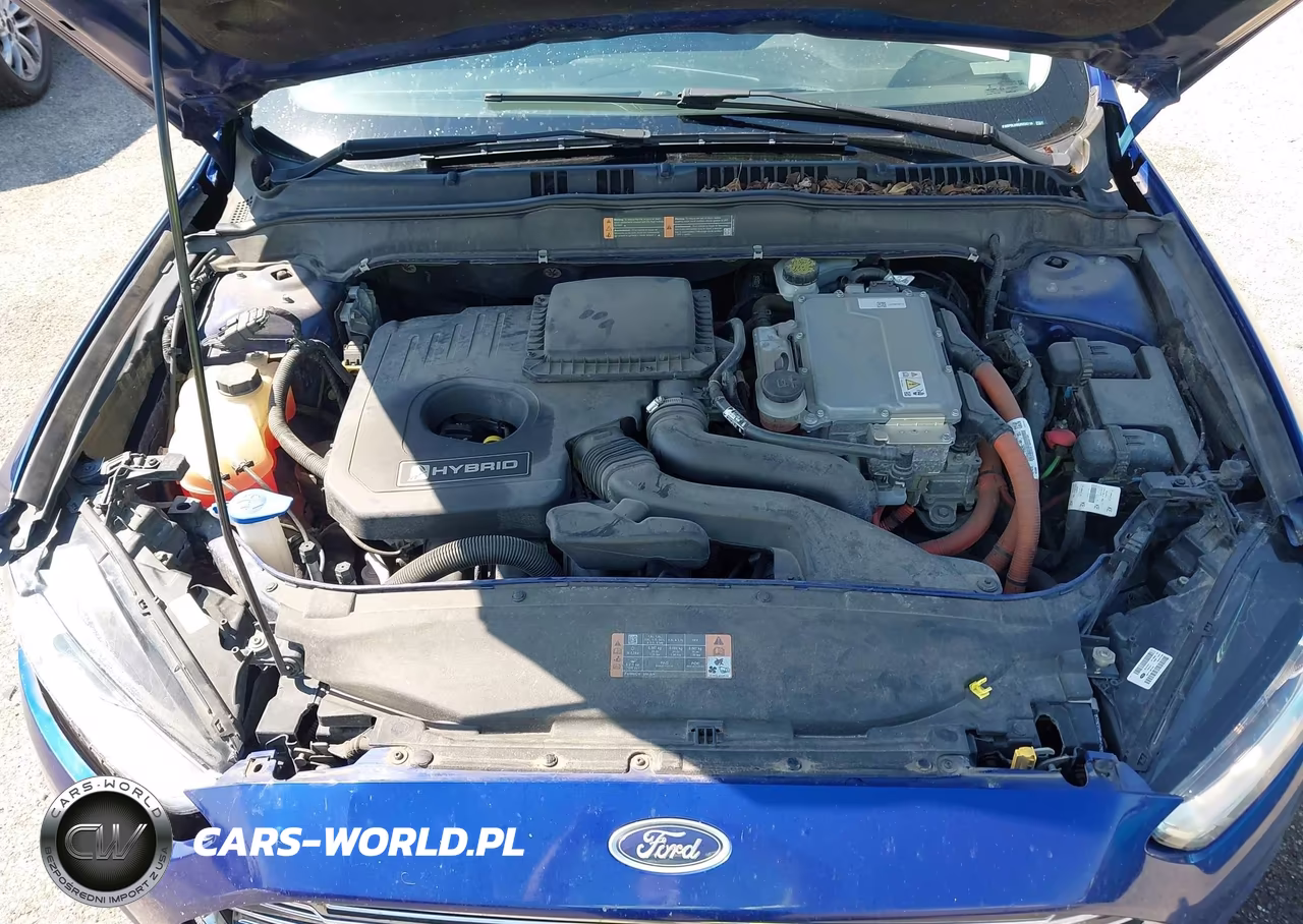 2016 Ford Fusion Hybrid Se VIN:3FA6P0LU9GR255718 - 10