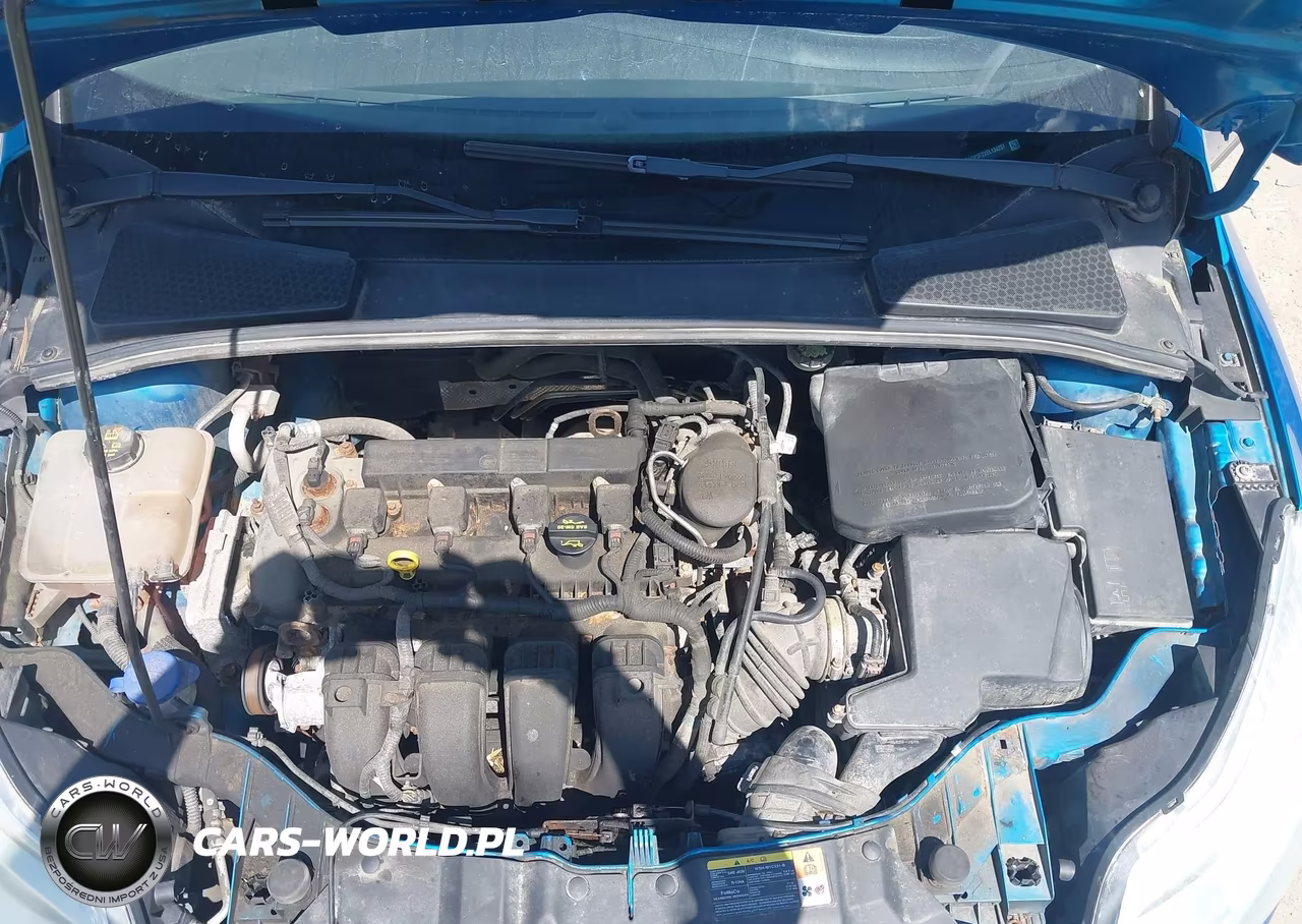 2014 Ford Focus Se VIN:1FADP3F2XEL134257 - 10