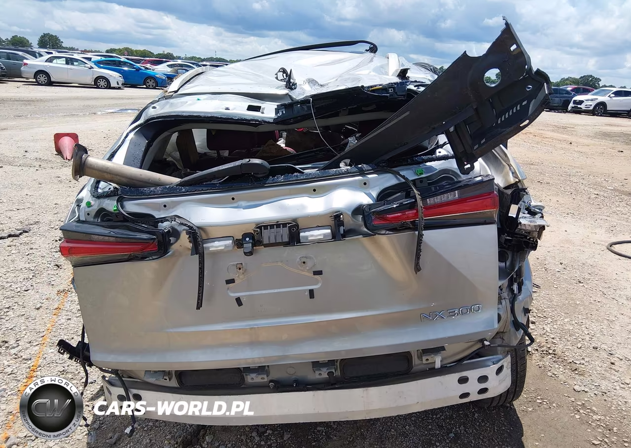 2021 Lexus Nx 300 VIN:JTJDARBZ3M2181097 - 15