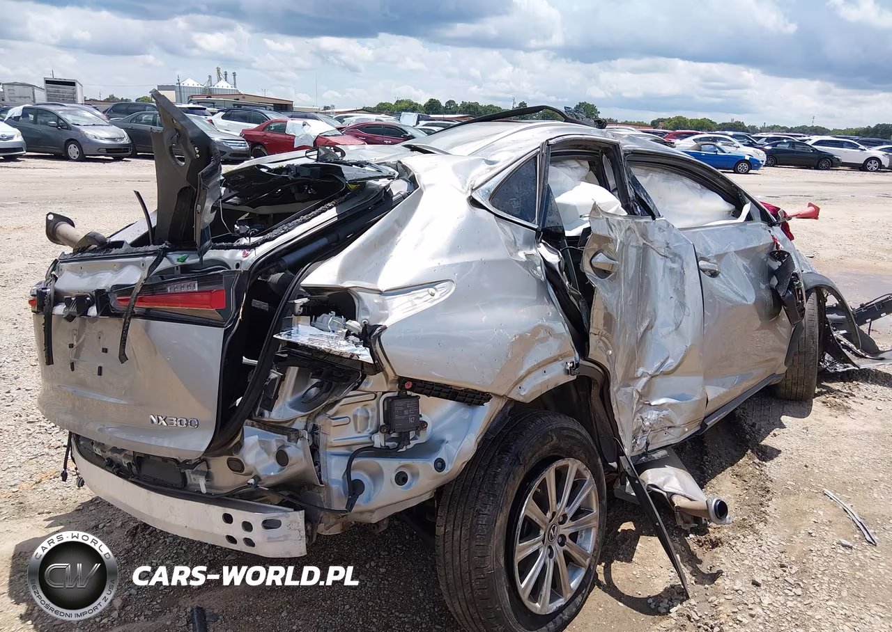 2021 Lexus Nx 300 VIN:JTJDARBZ3M2181097 - 4