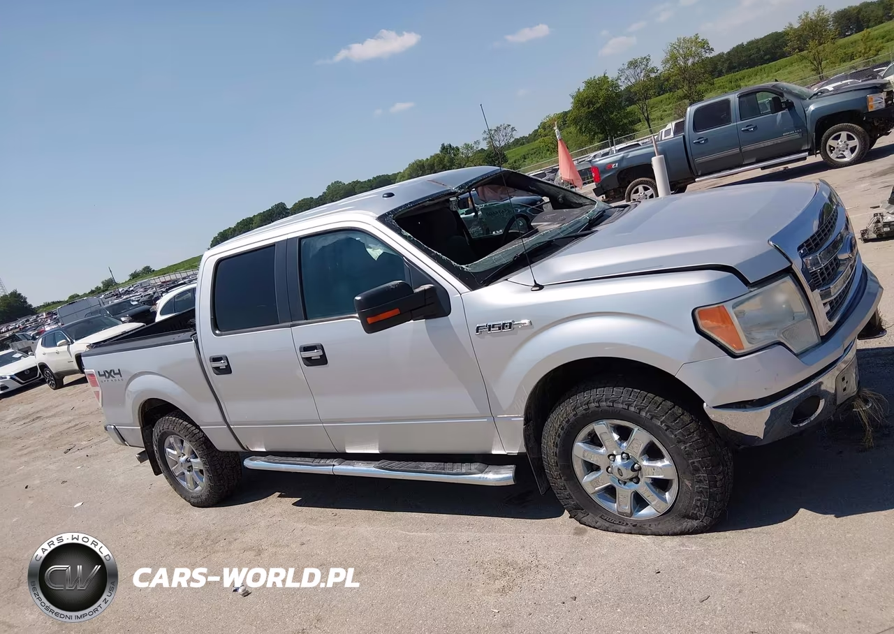 2014 Ford F-150 Xlt VIN:1FTFW1EF1EFC74307 - 14