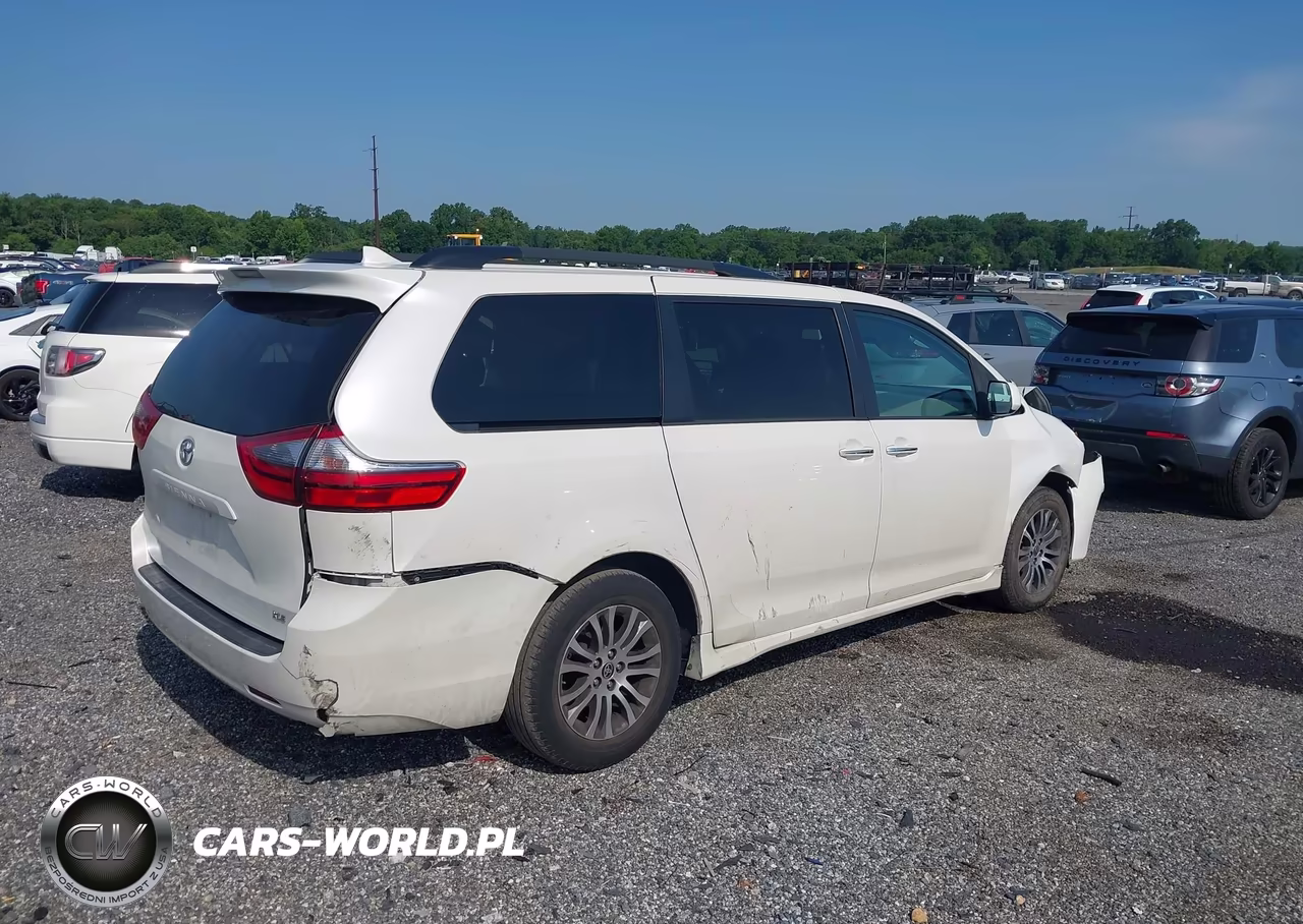 2020 Toyota Sienna Xle VIN:5TDYZ3DC2LS067019 - 4