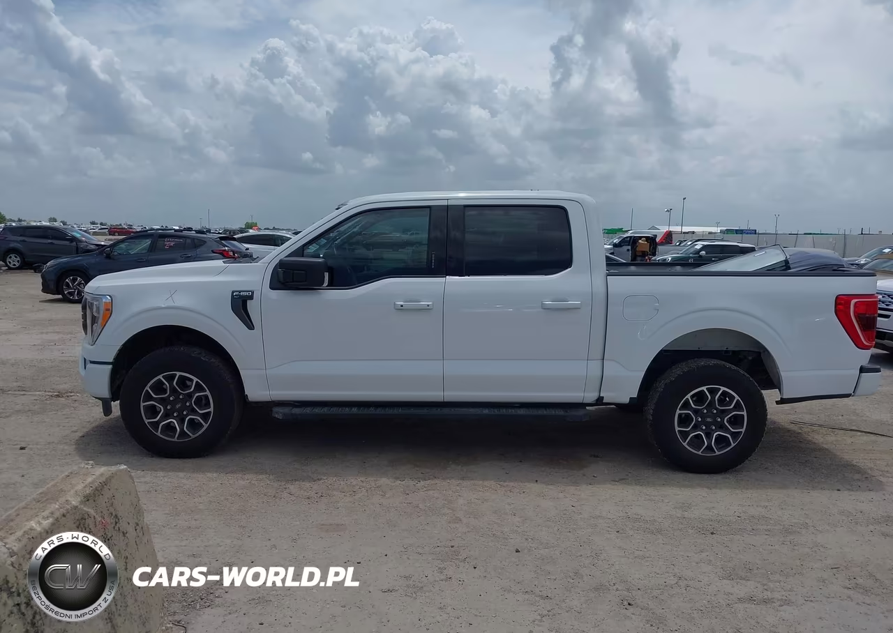 2023 Ford F-150 King Ranch-Lariat-Platinum-Tremor-Xl-Xlt VIN:1FTFW1E88PKD73847 - 15