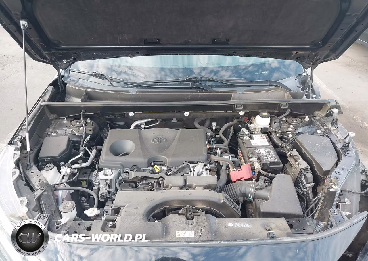 2020 Toyota Rav4 Xle VIN:JTMW1RFV3LJ020191 - 10