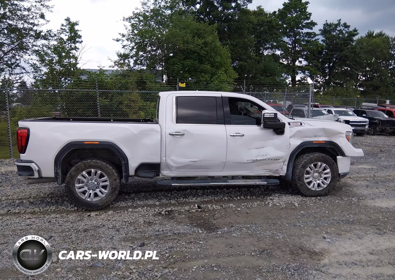 2020 GMC Sierra 3500Hd 4Wd Standard Bed Denali VIN:1GT49WEY1LF297144 - 13