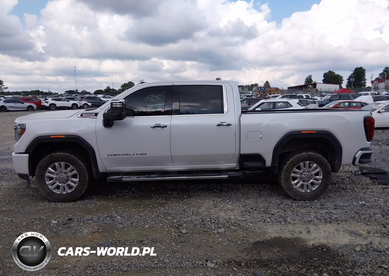 2020 GMC Sierra 3500Hd 4Wd Standard Bed Denali VIN:1GT49WEY1LF297144 - 14