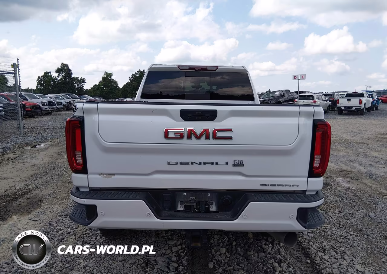 2020 GMC Sierra 3500Hd 4Wd Standard Bed Denali VIN:1GT49WEY1LF297144 - 15