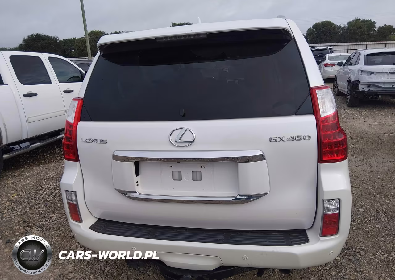 2010 Lexus Gx 460 Premium VIN:JTJJM7FX4A5010215 - 16
