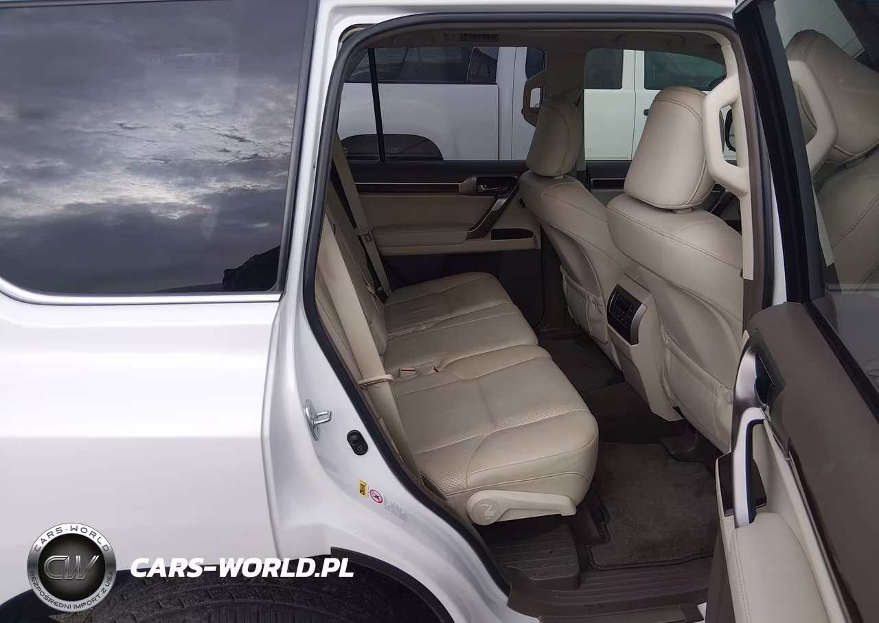 2010 Lexus Gx 460 Premium VIN:JTJJM7FX4A5010215 - 8