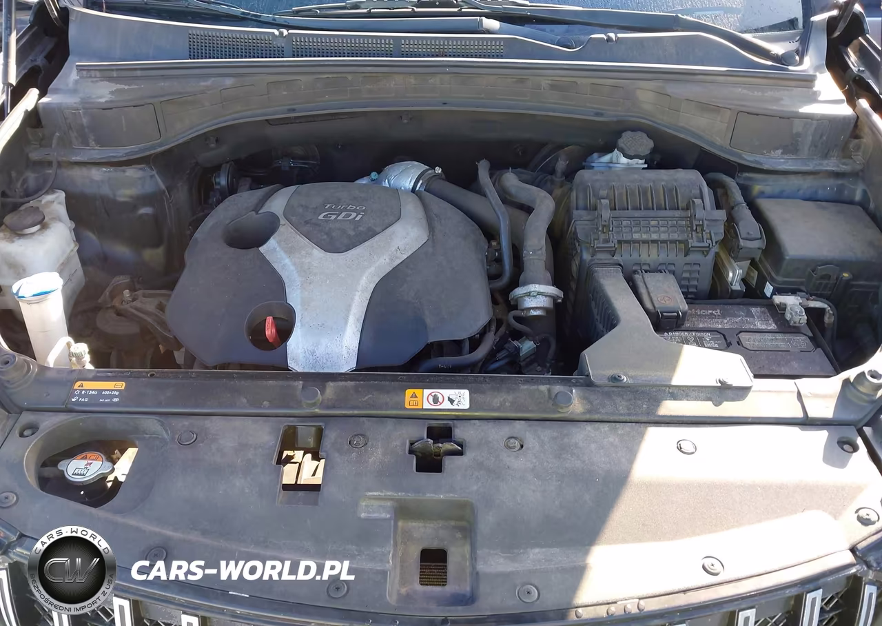 2016 Hyundai Santa Fe Sport 2.0L Turbo VIN:5XYZUDLA8GG333297 - 10