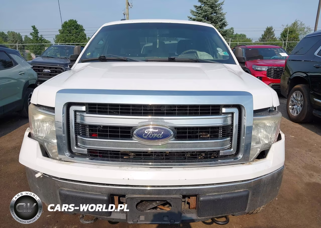 2013 Ford F-150 Xlt VIN:1FTFX1EF9DFB12517 - 12