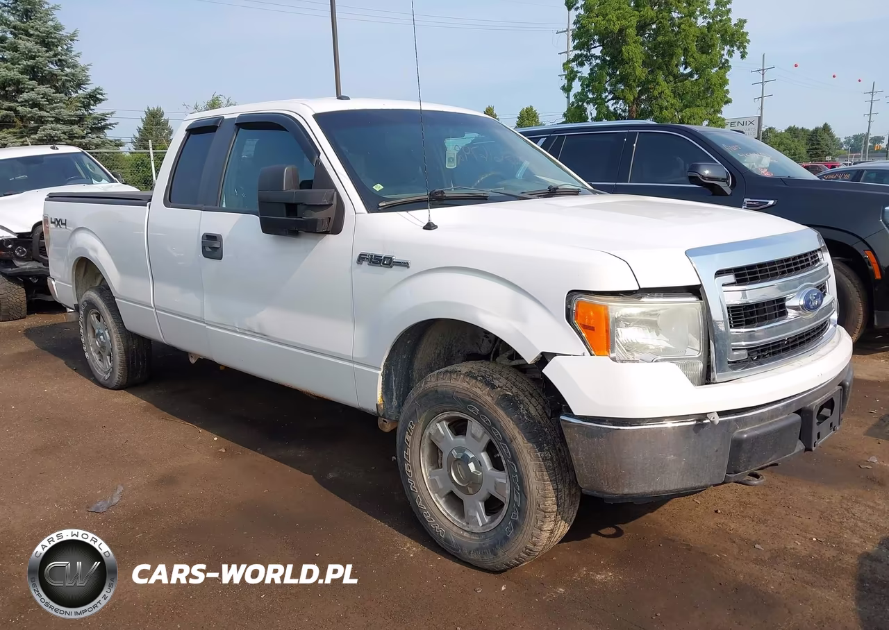 2013 Ford F-150 Xlt VIN:1FTFX1EF9DFB12517 - 13