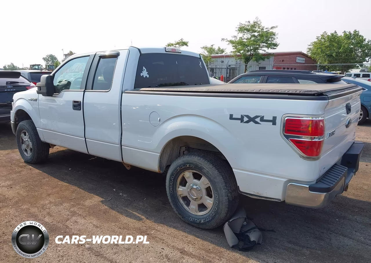 2013 Ford F-150 Xlt VIN:1FTFX1EF9DFB12517 - 14