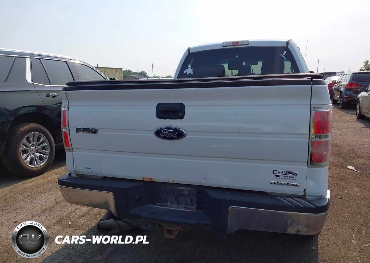 2013 Ford F-150 Xlt VIN:1FTFX1EF9DFB12517 - 16