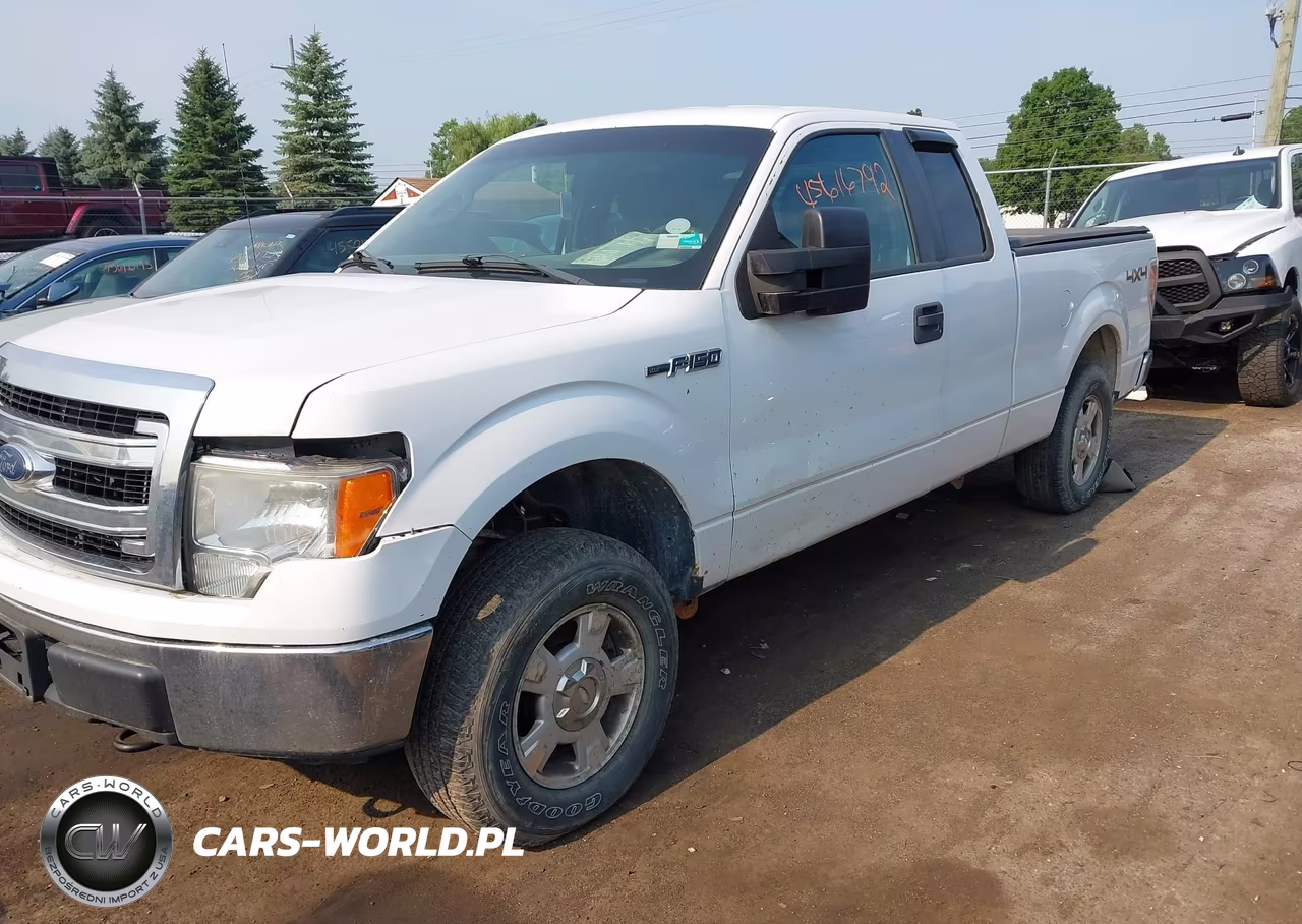 2013 Ford F-150 Xlt VIN:1FTFX1EF9DFB12517 - 2