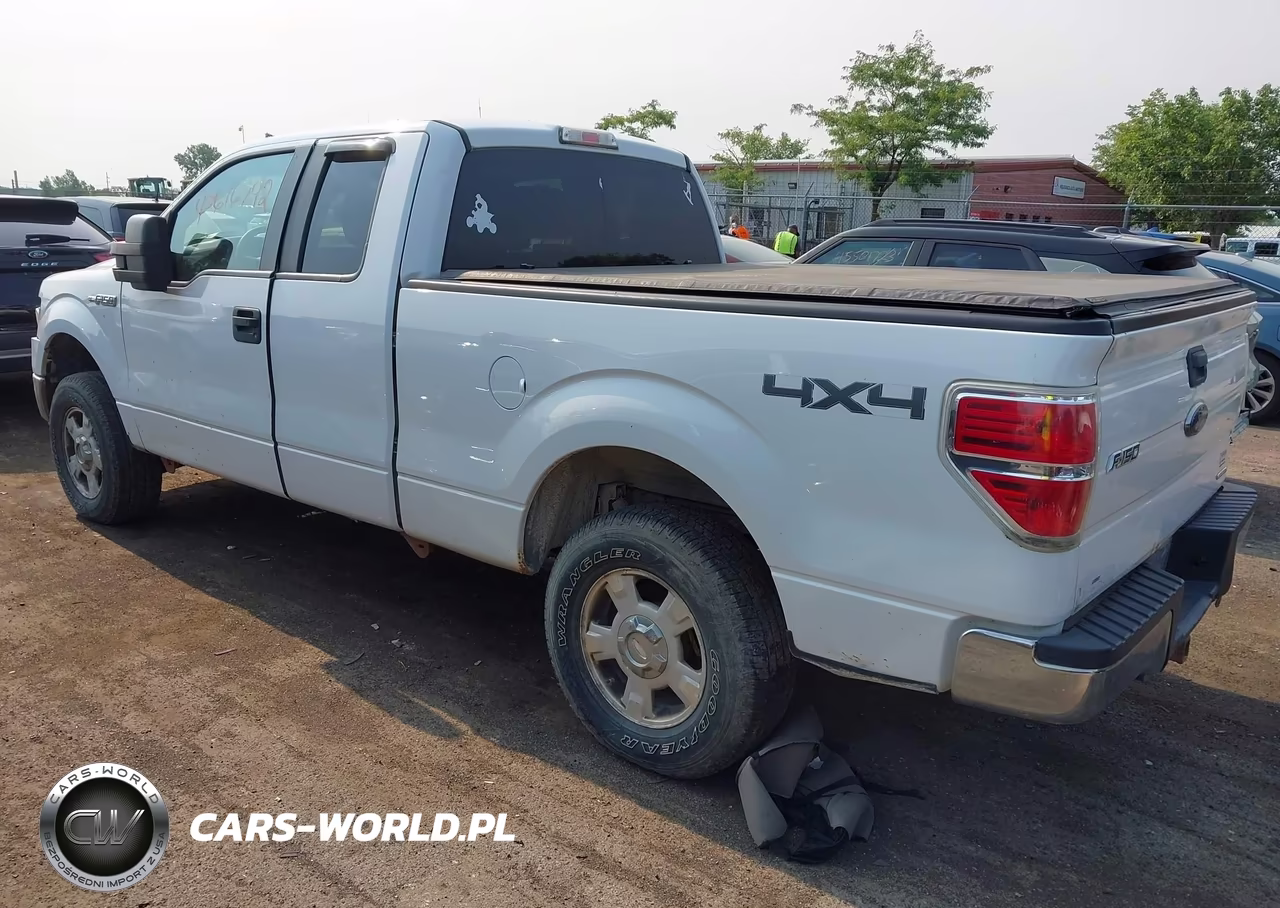 2013 Ford F-150 Xlt VIN:1FTFX1EF9DFB12517 - 3