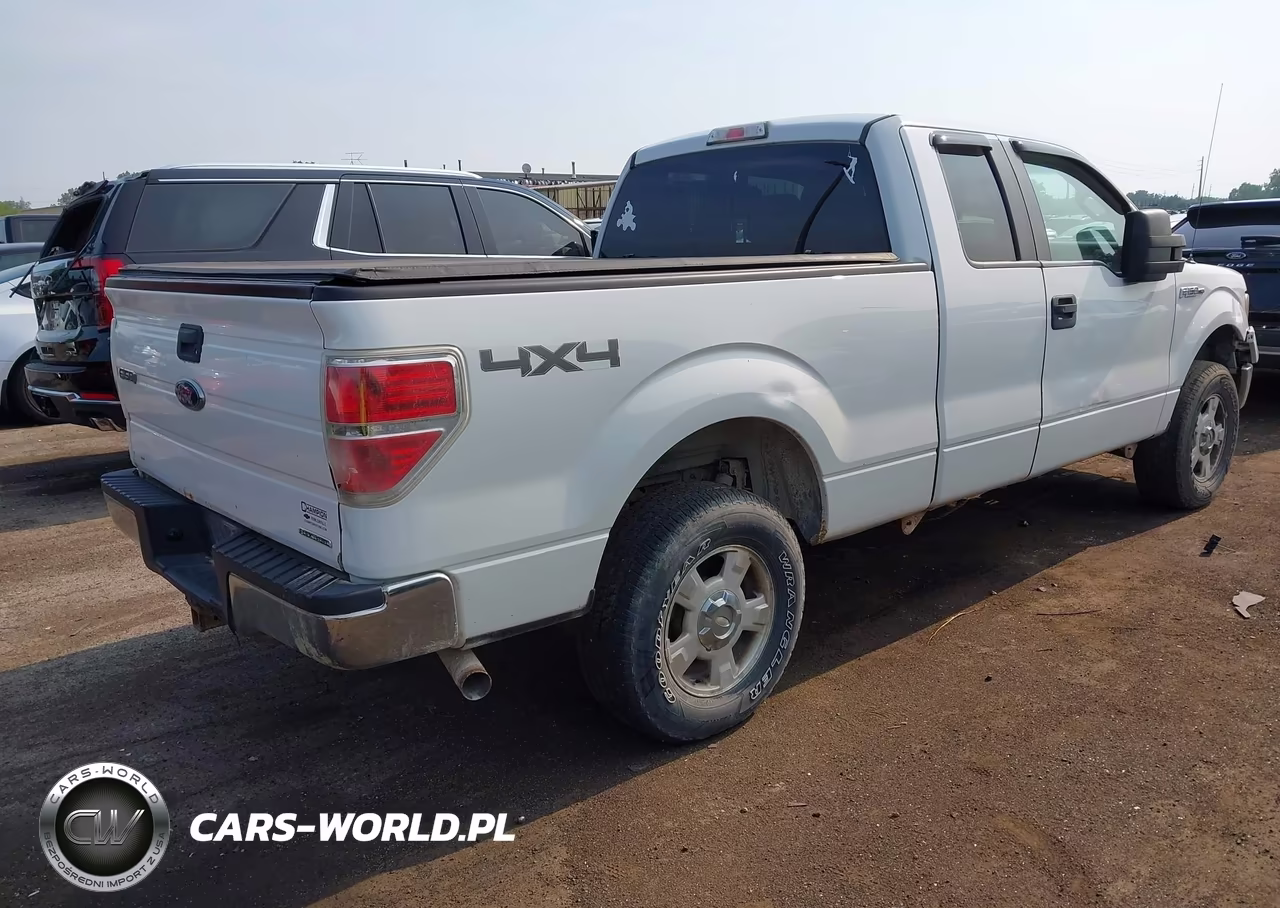 2013 Ford F-150 Xlt VIN:1FTFX1EF9DFB12517 - 4