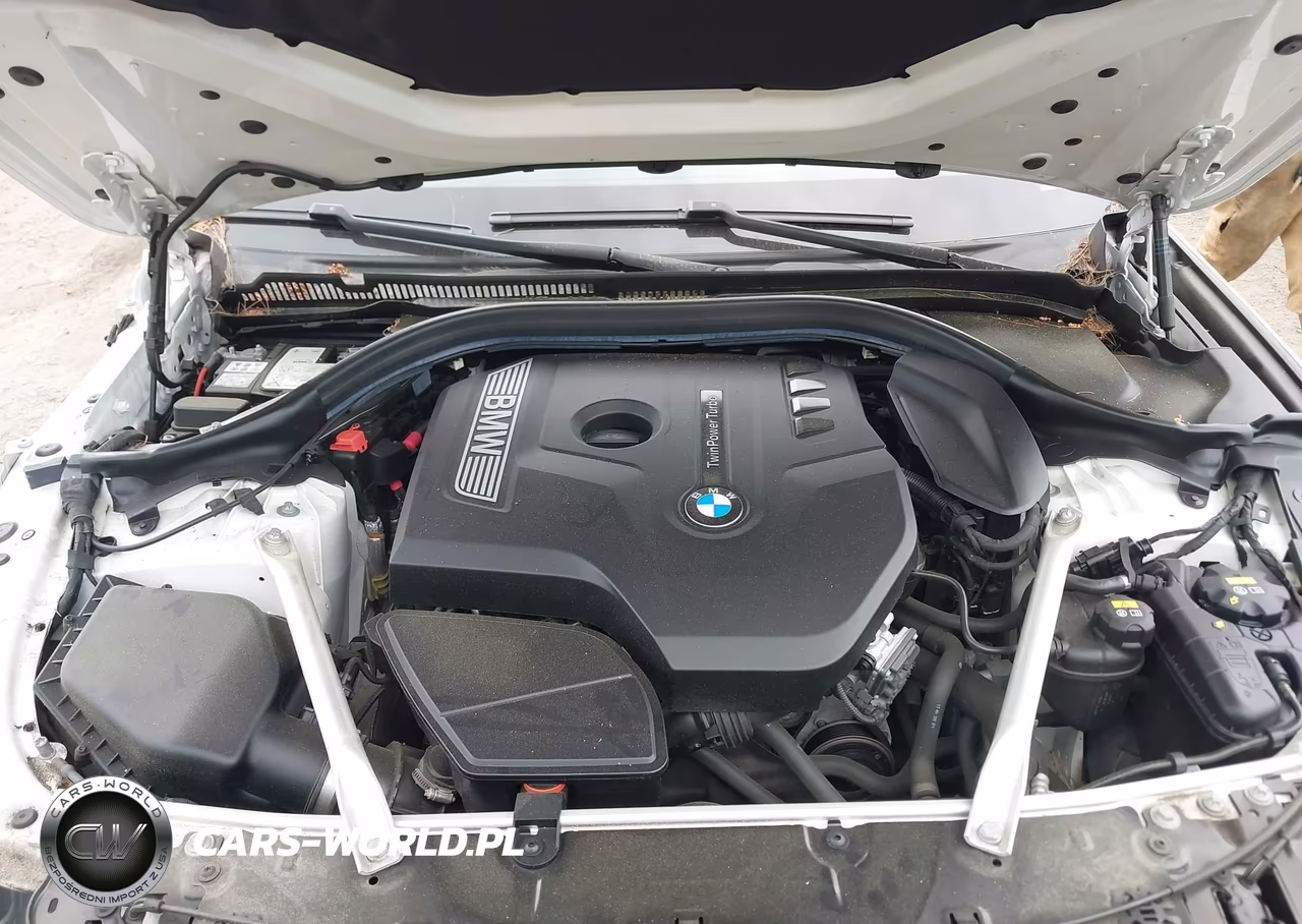 2019 BMW 5 Series 530I xDrive VIN:WBAJA7C56KG910115 - 10