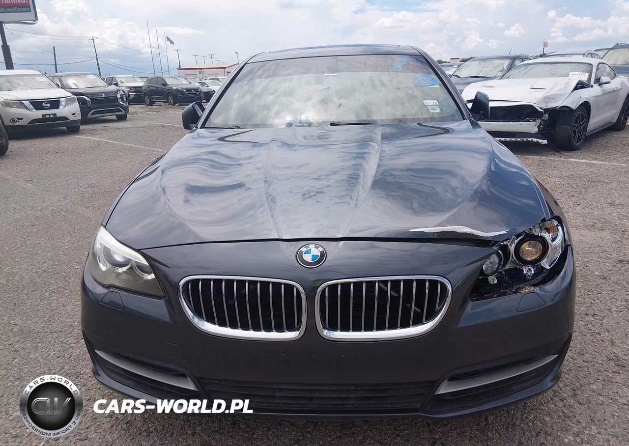 2016 BMW 528I VIN:WBA5A5C54GG351631 - 12