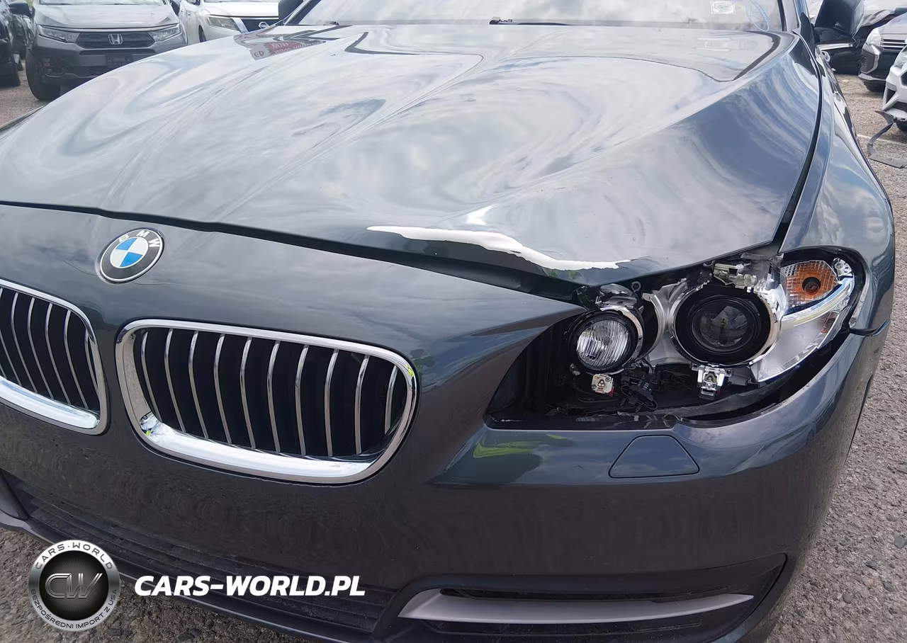 2016 BMW 528I VIN:WBA5A5C54GG351631 - 6