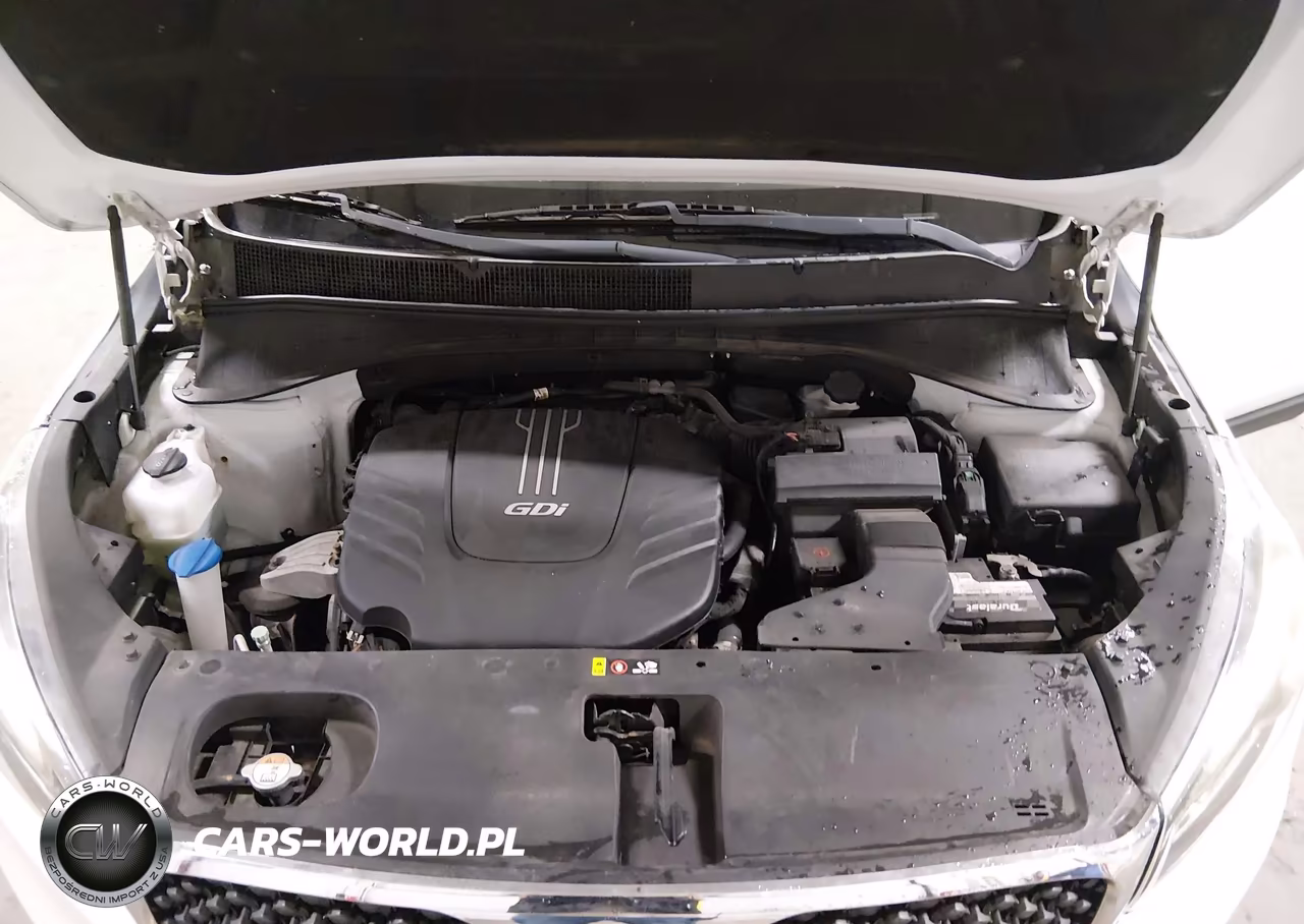 2017 Kia Sorento 3.3L Lx VIN:5XYPG4A56HG278791 - 10