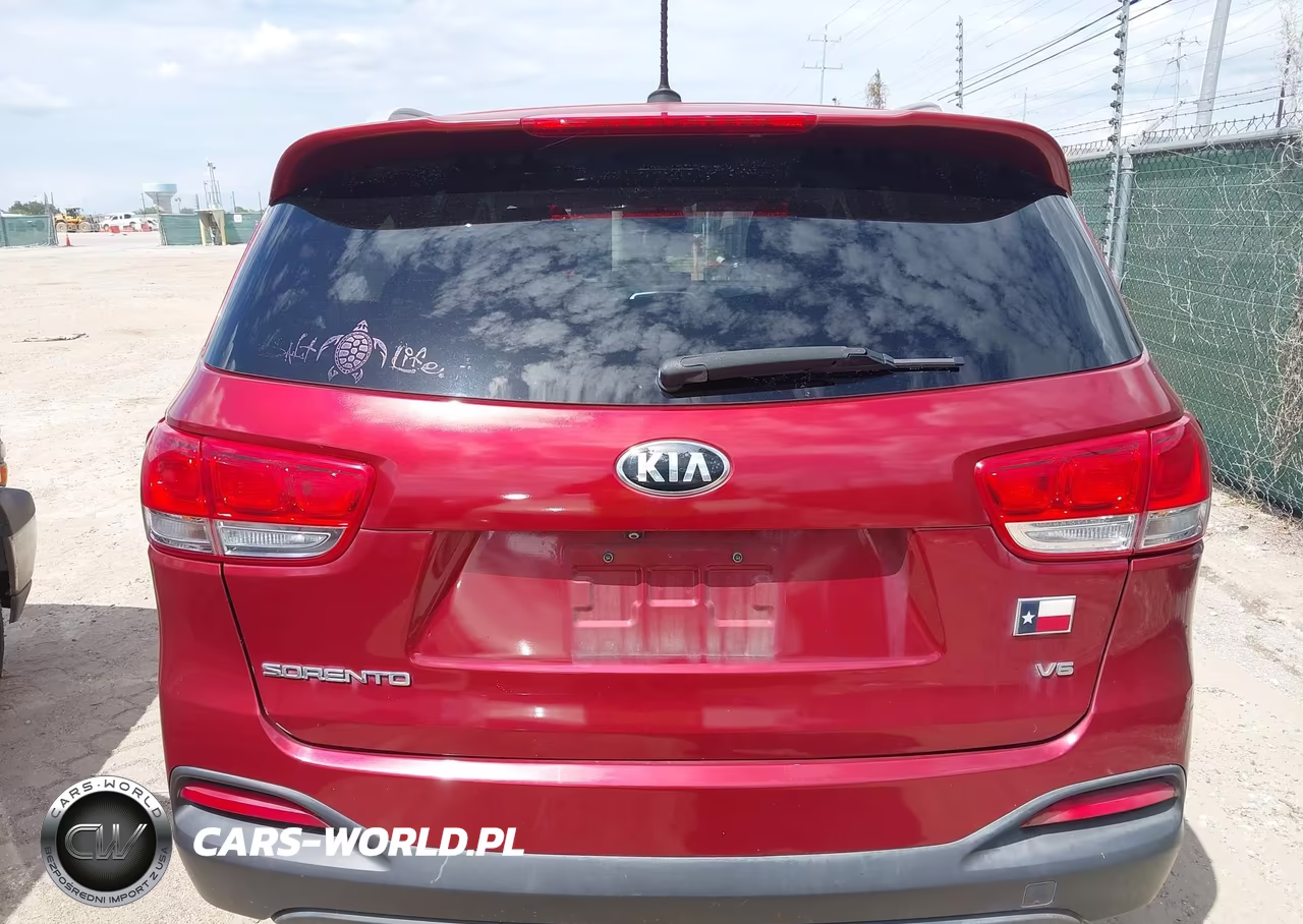 2016 Kia Sorento 3.3L Lx VIN:5XYPGDA52GG176211 - 16