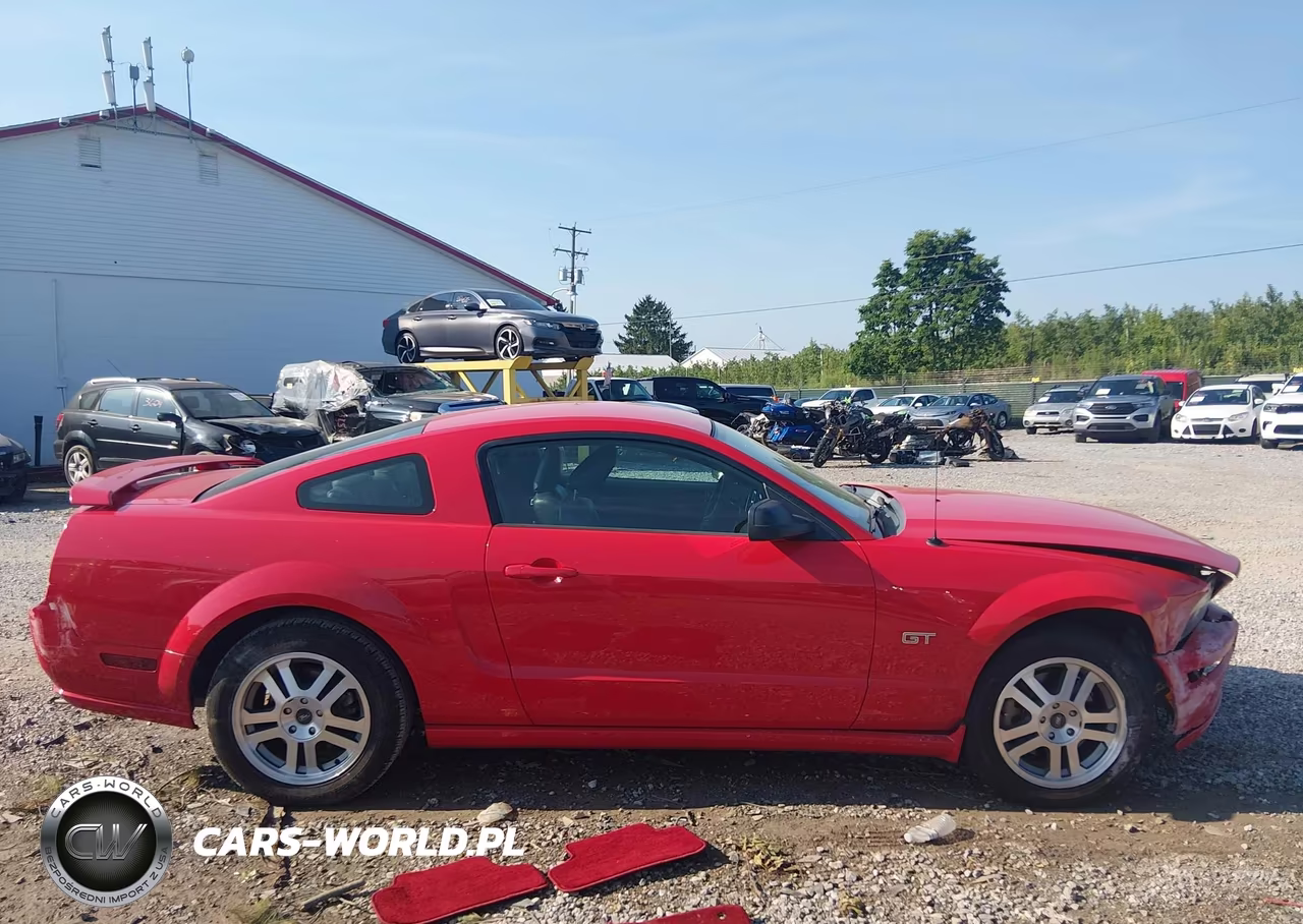 2005 Ford Mustang Gt Deluxe-Gt Premium VIN:1ZVFT82H755104219 - 13