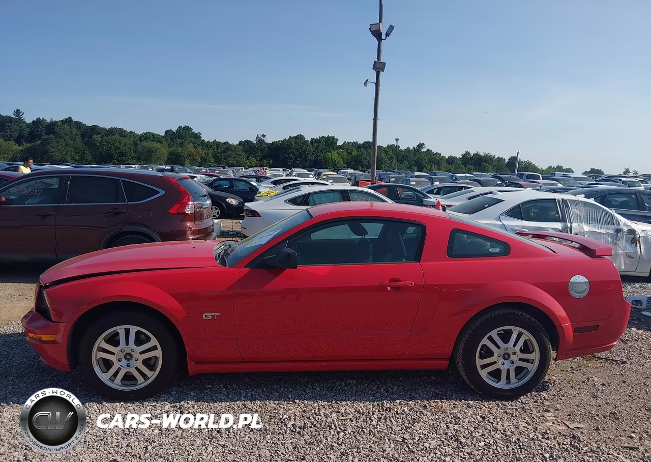 2005 Ford Mustang Gt Deluxe-Gt Premium VIN:1ZVFT82H755104219 - 14