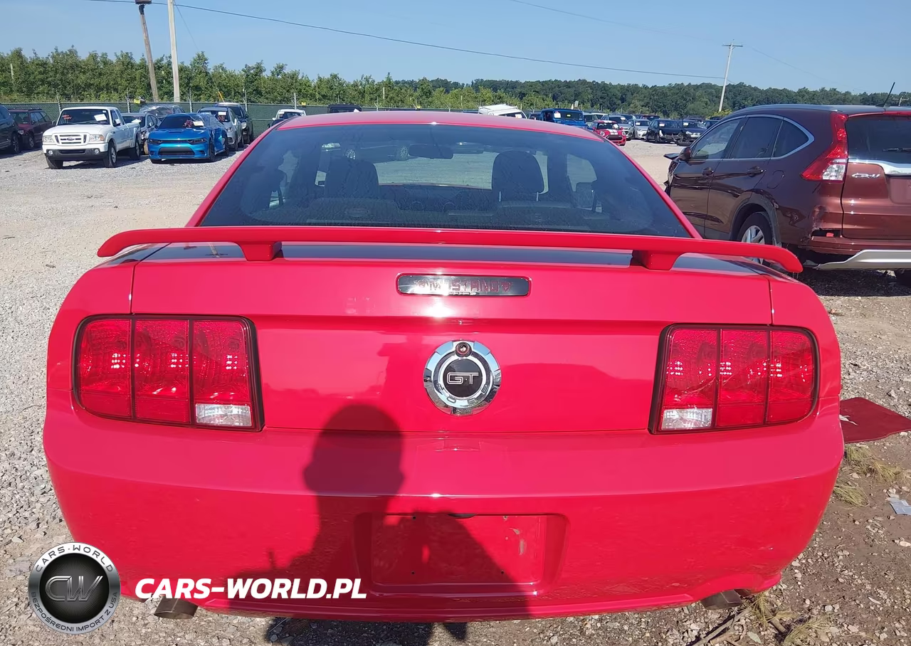 2005 Ford Mustang Gt Deluxe-Gt Premium VIN:1ZVFT82H755104219 - 16