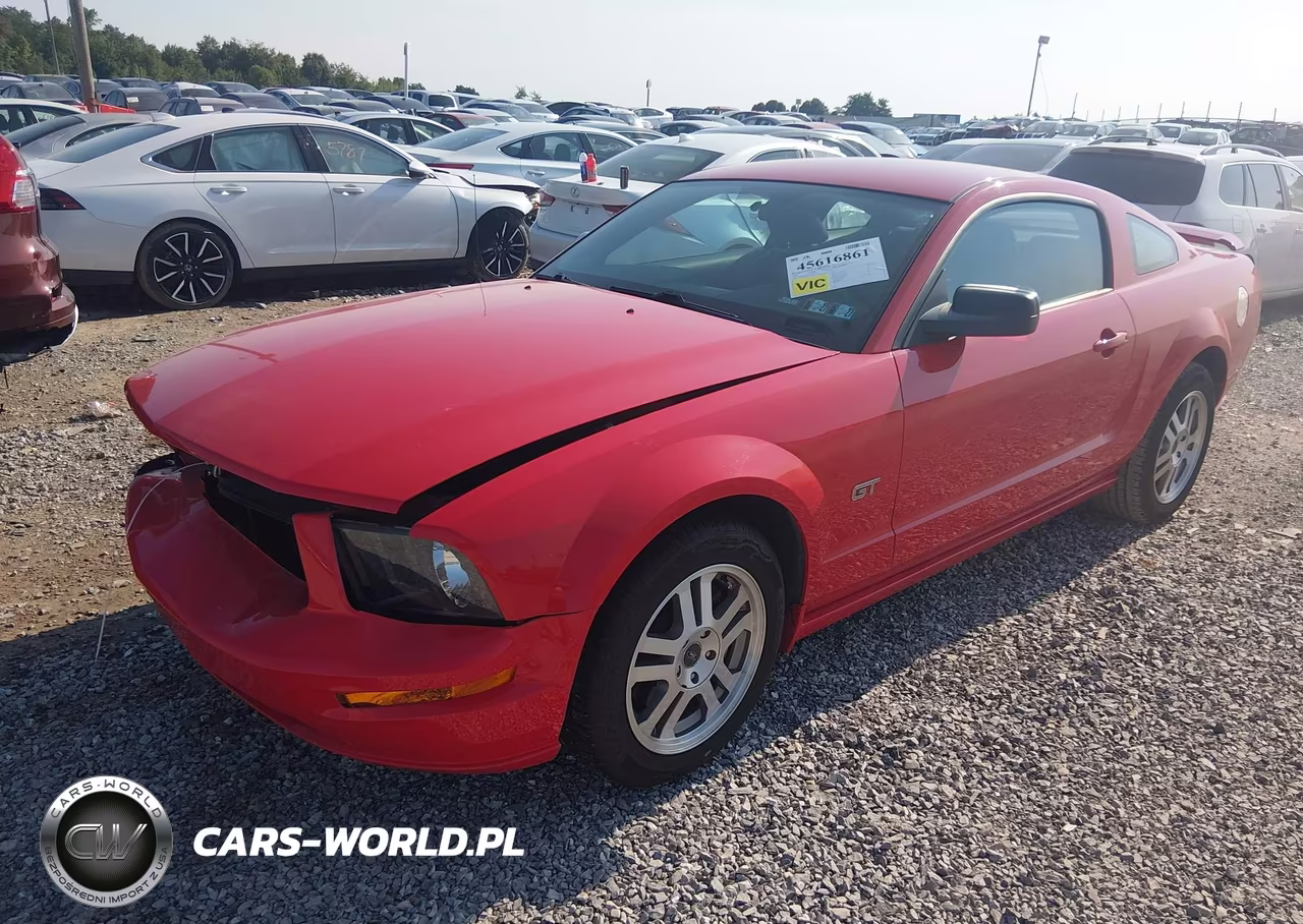 2005 Ford Mustang Gt Deluxe-Gt Premium VIN:1ZVFT82H755104219 - 2