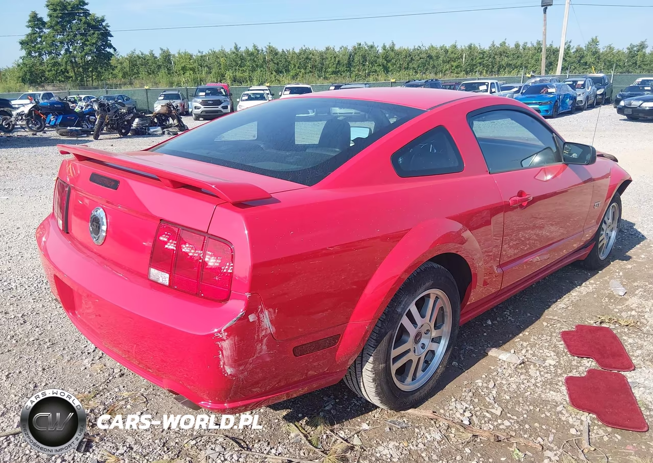 2005 Ford Mustang Gt Deluxe-Gt Premium VIN:1ZVFT82H755104219 - 4