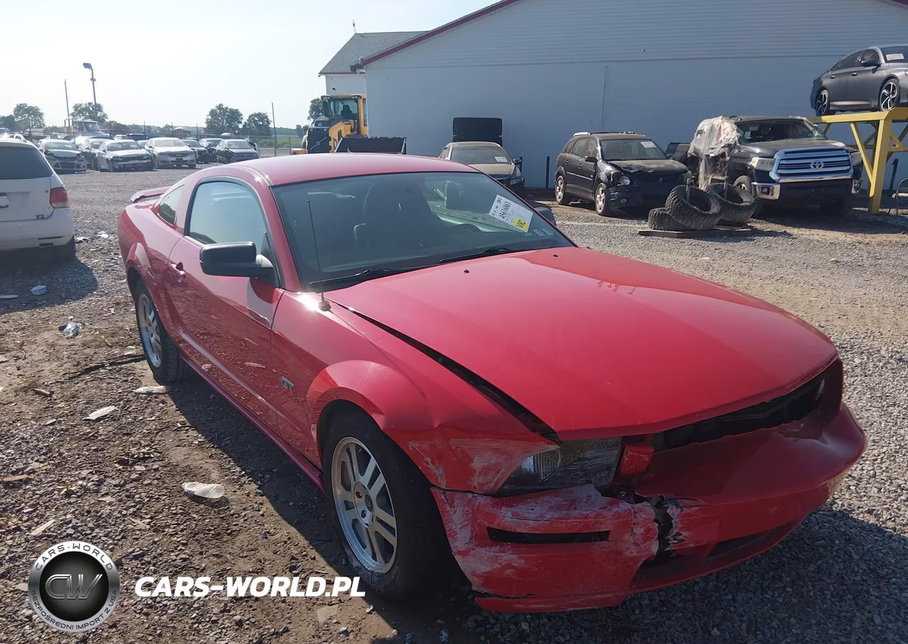 2005 Ford Mustang Gt Deluxe-Gt Premium VIN:1ZVFT82H755104219 - 6