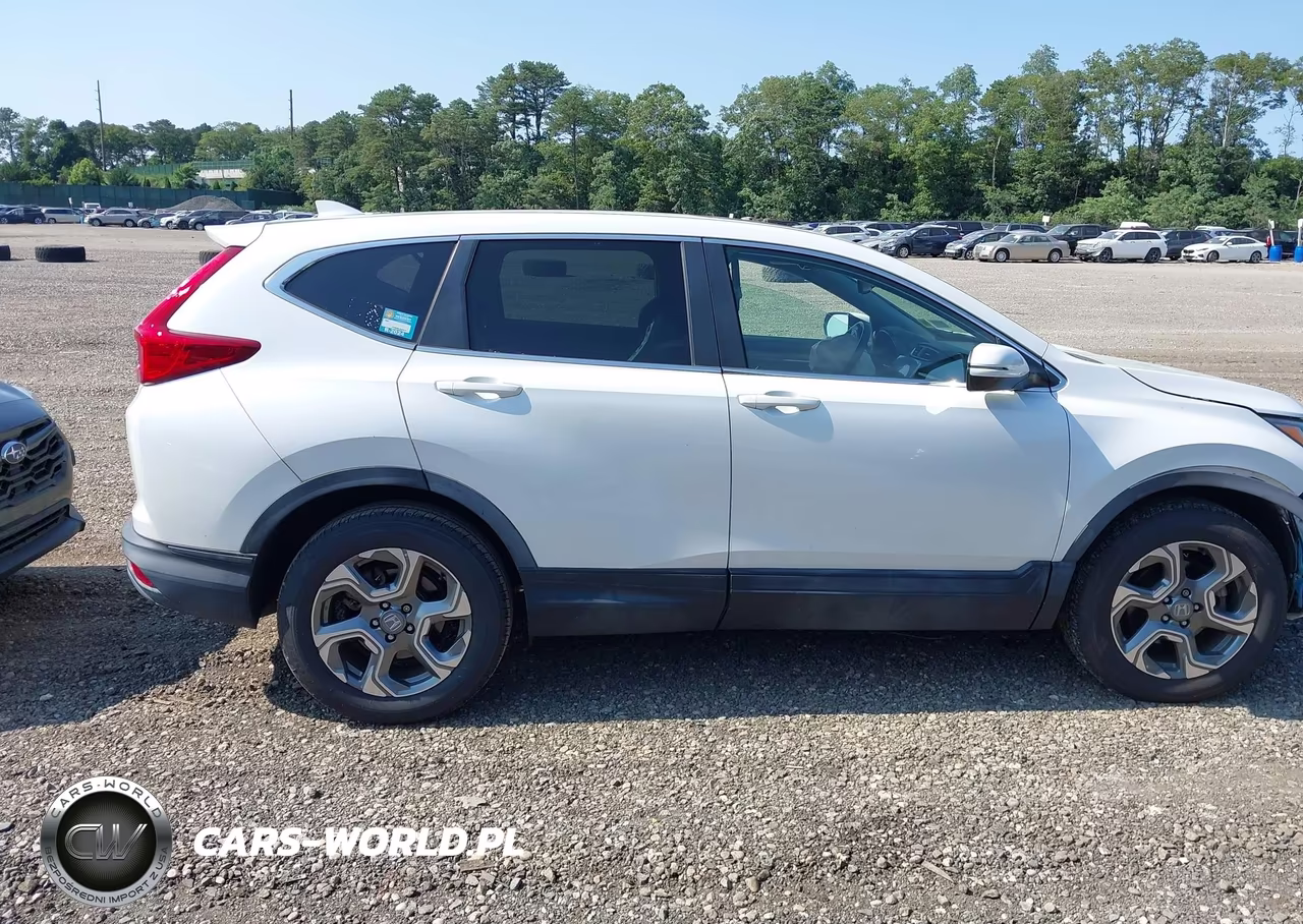2019 Honda Cr-V Ex-L VIN:JHLRW2H84KX001273 - 13