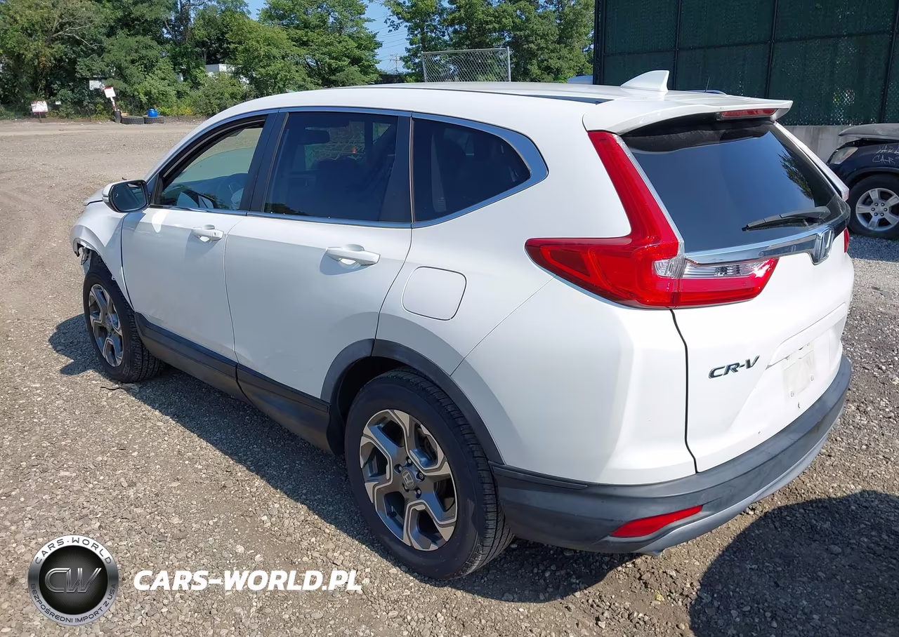 2019 Honda Cr-V Ex-L VIN:JHLRW2H84KX001273 - 3