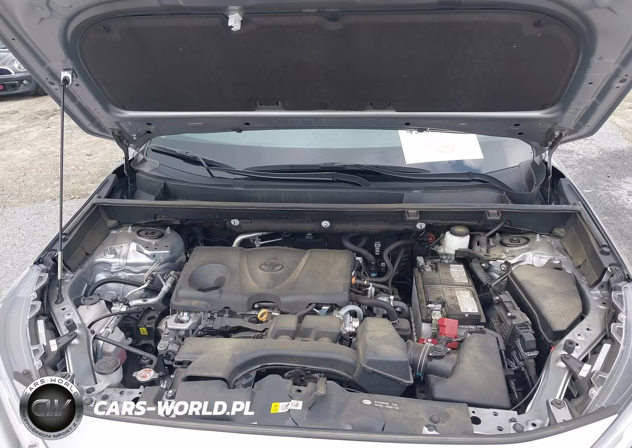 2024 Toyota Rav4 Xle VIN:2T3W1RFV1RC276356 - 10