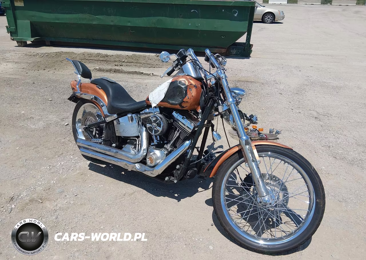 2008 Harley-Davidson Fxstc 105Th Anniversary Edition – zdjęcie 1 z 12