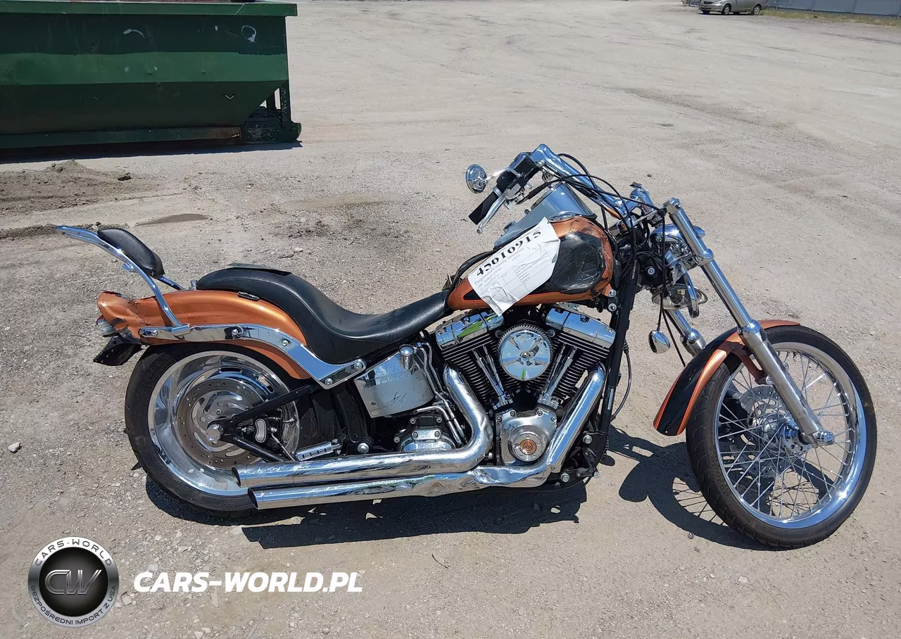 2008 Harley-Davidson Fxstc 105Th Anniversary Edition VIN:1HD1JL5448Y021542 - 11