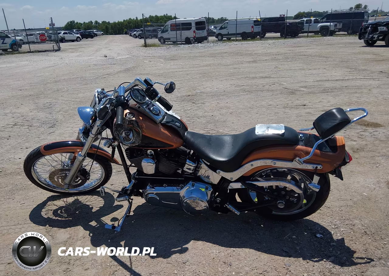 2008 Harley-Davidson Fxstc 105Th Anniversary Edition VIN:1HD1JL5448Y021542 - 12