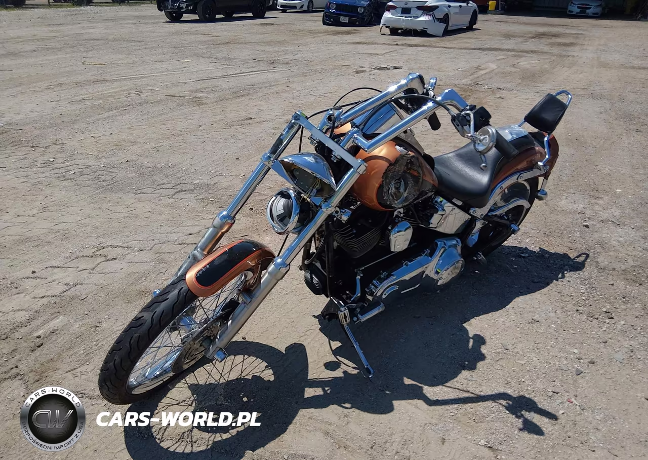 2008 Harley-Davidson Fxstc 105Th Anniversary Edition VIN:1HD1JL5448Y021542 - 2