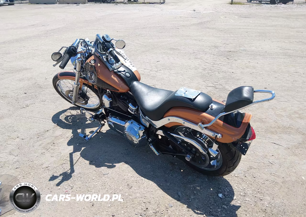 2008 Harley-Davidson Fxstc 105Th Anniversary Edition VIN:1HD1JL5448Y021542 - 3