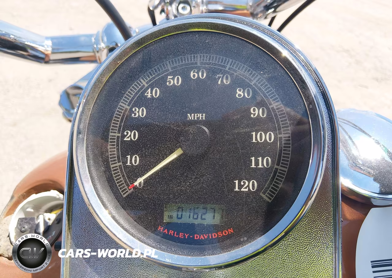 2008 Harley-Davidson Fxstc 105Th Anniversary Edition VIN:1HD1JL5448Y021542 - 7