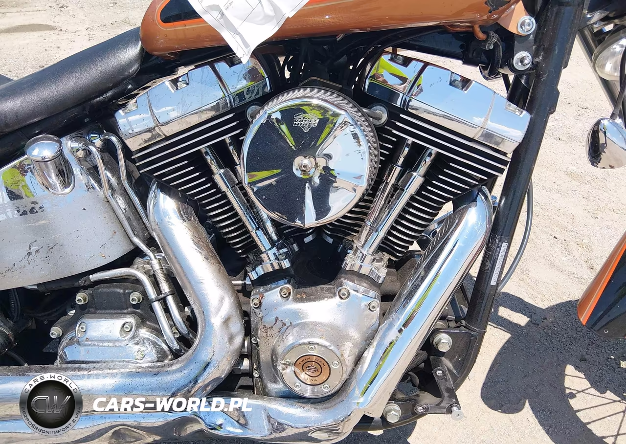 2008 Harley-Davidson Fxstc 105Th Anniversary Edition VIN:1HD1JL5448Y021542 - 8