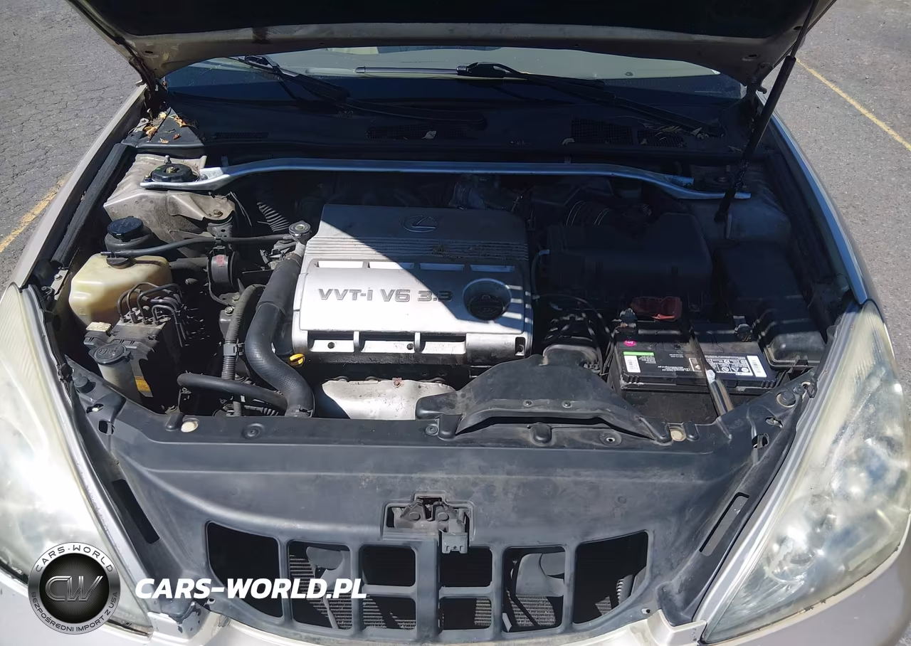 2004 Lexus Es 330 VIN:JTHBA30G645020197 - 10